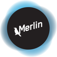 Merlin Blog
